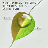شامبو شعر بيو رنيو ترميم بزيت الارغان المغربي v2 من هيربل ايسنسز 400 مل