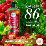 شامبو شعر بيو رنيو بذور العنب النقيه حمايه اللون من هيربل ايسنسز 400 مل