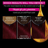 غارنييه صبغه شعر اولیا اسود غامق 1.0