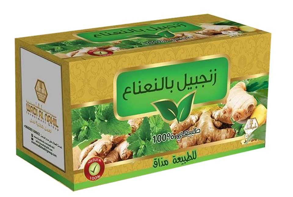 وادي النحل شاي منعش زنجبيل بالنعناع 30 كيس