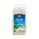 أرض الطبيعة لوبيا بيضاء 500 جم