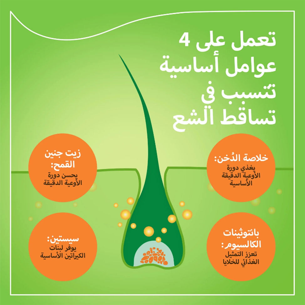 برايورين-ان لنمو الشعر 90 كبسولة